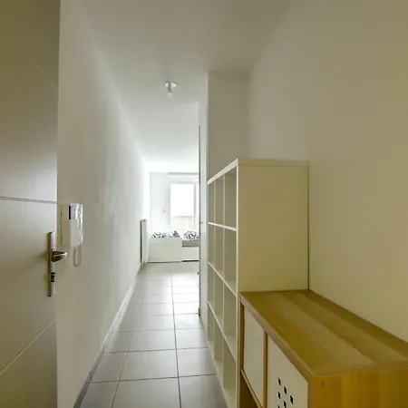 Le Du Pont Guilhemery Apartment Toulouse