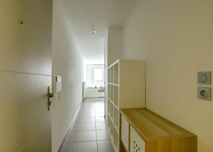 Le Du Pont Guilhemery Apartment Toulouse